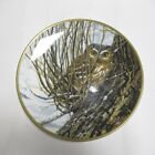 Spode - The Hamilton Collection: Noble Owls Of America Plate - Hiding Place  