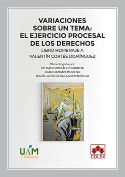 Variaciones sobre un tema: el ejercicio procesal de los derechos - Imagen 1 de 1
