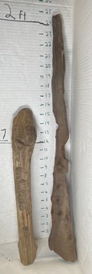 Driftwood¡ 2 Piece Set Cedar Taxidermy Beach Mountain  Wedding Beaver Chewed - Image 1 of 4