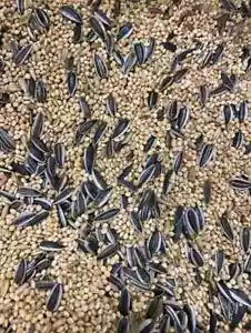 JOHNSTON & JEFF COCKATIEL FOOD MIXED COCKATIEL SEED SOLD PER KG IN CLEAR BAGS - Picture 1 of 3