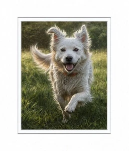 Pet Portraits Custom Art from your photo.Pet painting, dog drawing, cats, - Picture 1 of 24