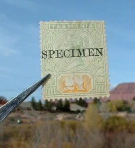 Tasmania scott 85 stamp Except 'SPECIMEN' - Picture 1 of 4