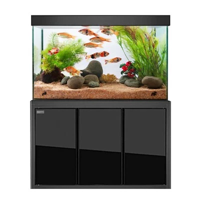 Tempered Glass 100 Gallon Aquarium Black - Image 1 of 4