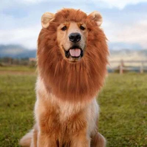 Funny Cute Lion Mane Costume Headgear for Cat Dog Pet Clothes Dress Party USA - Picture 1 of 15