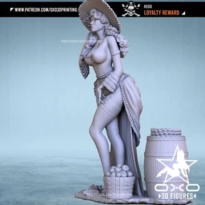 Redd the Pirate, Maßstab 1:10, SFW und NSFW,  3D Druck - Resin Fan Art Figur - Picture 1 of 10