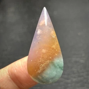 Opalized Coral Fossil Chalcedony Cabochon 34x15x5.5mm High Quality 18.5 ct - Picture 1 of 6