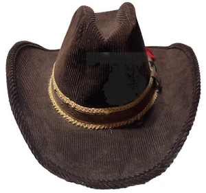 70er Jahre Cord Cowboy Hut original schön braun mit Federn Western - Bild 1 von 4