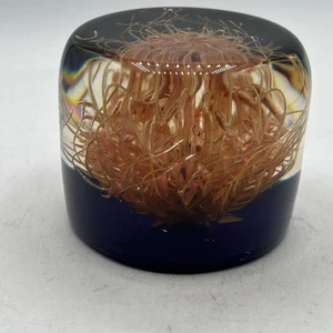 Vintage Plexiglas getrocknete Distel Blume Briefbeschwerer Acrylharz Handarbeit Simbabwe 2,25 - Bild 1 von 5