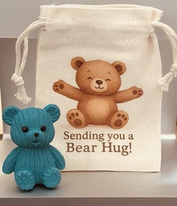 Pocket Bear Hug Teddy Worry Anxiety Gift Bag Love Good Luck Birthday positivity - Picture 1 of 29