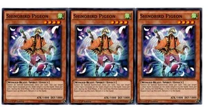 Yugioh - 3X Shinobird Pigeon - Common - 1. Auflage - RATE-DE024 - Near Mint - Bild 1 von 1