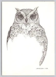 Dibujo de vida silvestre de búho por Jim Wilson 1979, postal vintage - Imagen 1 de 2