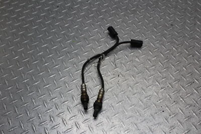 Ducati Monster 1100 2009 oxígeno O2 gas de escape sensor Lambda Foto 1 de 4