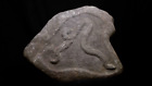 Micronesia-Oceania Rare Hand Carved Stone Serpent 1000-1500 AD ~ Fine Detail