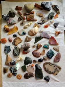 Vintage Old Stock Rock Gemstone Lot Montana Moss Agate Slabs Leaf Fossil Etc - Picture 1 of 22