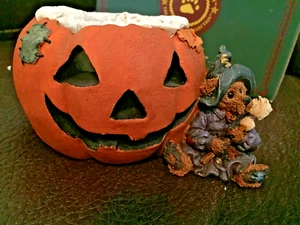 Boyds Bears Halloween Kürbis Windlicht - Emma the Witchy Bear...Pumpkln Magic - Bild 1 von 2
