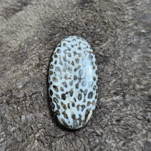 Oval shape black fossil coral cabochon high quality gemstone for jewellery - Picture 1 of 6