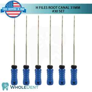 H-Feilen Wurzelkanal 31 mm Hand Ende Dental Heckenstrom 6 Stück Packung Reibahlen #30 - Bild 1 von 4