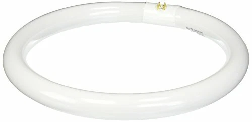 Satco S6504 6500K 32-Watt 4 Pin T9 Circline Lamp, Daylight - Image 1 of 1