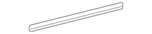 Genuine GM Driver Side Front Door Window Inner Sealing Strip 20867210 - Foto 1 di 3