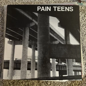RARE Pain Teens ANOMIE RECORDS Vinyl w/ OG Art Insert  1988 - Picture 1 of 7