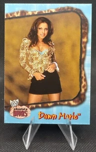 2002 Fleer WWE Absolute Divas #13 - Dawn Marie RC - Bild 1 von 2