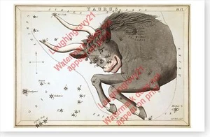 Póster de astronomía antiguo de la carta estelar de la constelación de Tauro Sidney Hall 1825 - Imagen 1 de 1