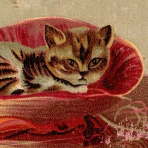 Victorian Trade Card Kitten Cat "Bullock Blood Bitters" Conrad Bros. Otsego, MI - Picture 1 of 3