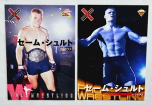 1999-2000 BBM Pro Wrestling Semmy Schilt Kickboxing Card Lote K-1 CABRA - Imagen 1 de 2