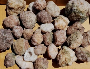 Schneeachat raue Knötchen 4 Pfund - Bild 1 von 1