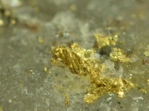 GOLD from Canada * NICE THUMBNAIL SPECIMEN * 1,6 cm - Picture 1 of 5