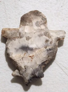 Early Effigy Flint turtle Indian #3 Native American Prehistoric - Bild 1 von 8