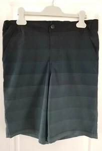 Art Class Boy's Size 16 Striped Ombre Swim Trunks Shorts UPF 50+ Adj waistband - Picture 1 of 3