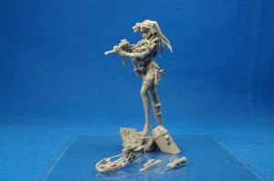 Kit Resina 474 1/24 Mujer Guerrera - Imagen 1 de 9