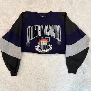 Vintage Galt Sand 90s Sweatshirt Northwestern University Graphic Cropped Crew - Bild 1 von 5
