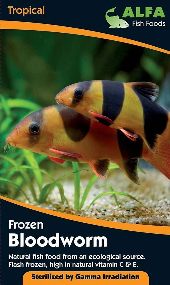 Alfa Frozen Bloodworm 5 x 100g Blister Packs Natural Fish Food Aquarium Tank