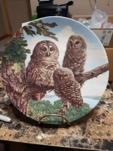 PERFETTO POSATOIO: PIATTO GUFI SBARRATI SOTTO L'ALA DELLA MADRE*1992*(4A) - Foto 1 di 4