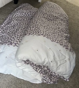 Kate Spade Purple Carnation Twin Comforter - Picture 1 of 3