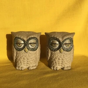 Vintage 1982 Ceramic Chubby Sleepy Owls Double Faced / Sided *Both Salt Shakers* - Imagen 1 de 6