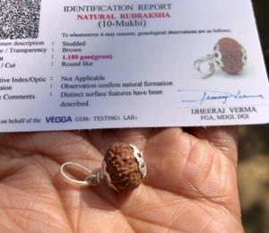 Lab Certified 925 Silver + 10 Mukhi RUDRAKSHA Rudraksh 10 Face Pendant, Original - Picture 1 of 8