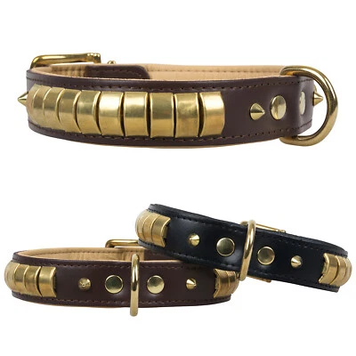HUNDE DESIGN Lederhalsband Chesmu Gold-Messing Echtlederhalsband Hundehalsband Hunde Halsband