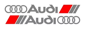 2 ADESIVI VINILE DECALCOMANIE GONNA LATERALE PORTA - Per tutti i modelli Audi Argento Rosso - Foto 1 di 4