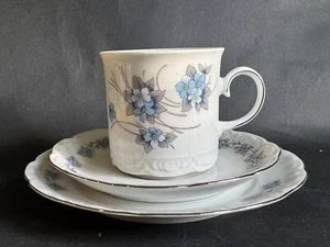 VINTAGE MITTERTEICH BAVARIA TRIO TASSE UNTERTASSE TELLER VERGISSMEINKNOTEN - Bild 1 von 11