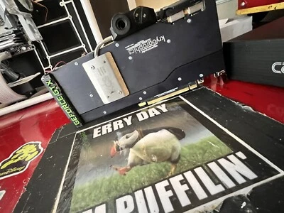 2 X NVIDIA EVGA 1080 TI AQUACOMPUTER REFRIGERADO POR AGUA SLI GPUS Foto 1 de 4