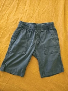 Tea Collection Boys Blue Cotton Pull-on Shorts 5 EUC - Picture 1 of 7