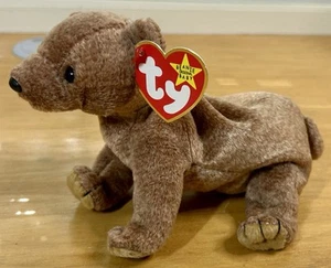 TY Beanie Babies “Pecan” the Bear 1999 w/ Tag - Picture 1 of 11