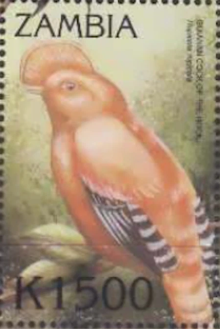 Zambia #Mi1205 MNH 2000 Parrots Guianan Cock Rock [888g] - Image 1 of 1