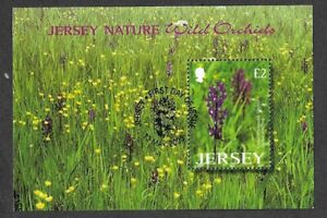 JERSEY Flowers Orchids nature min sheet fine used/cto 2003