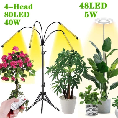 4 Head LED Grow Light with Stand for Indoor Plants Full Spectrum Plant Grow Lamp - Image 1 of 4