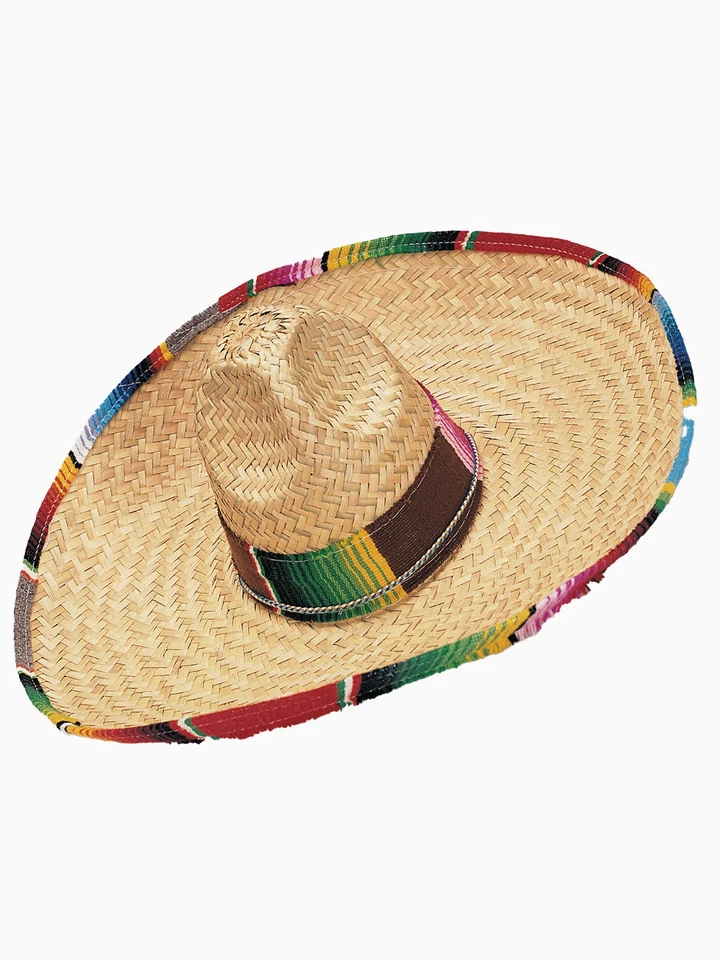Sombrero con Banda Serape Adulto Disfraz Accesorio Sombrero Foto 1 de 1