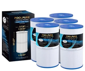 POOLPURE C-6430 Spa Filter Replaces Watkins 31489, Pleatco PWK30, Filbur FC-3915 - Picture 1 of 5